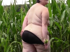 This big mama loves to play in a cornfield